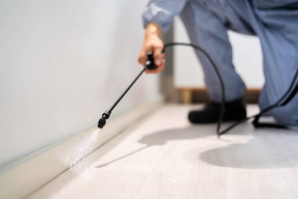 Licensed Termite Control service in Camino, CA - Nex Pest Control