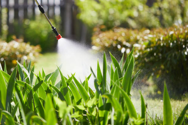 24/7 Emergency Termite Control experts in Camino, CA