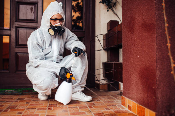 Reliable Termite Control contractor in Camino, CA by Nex Pest Control