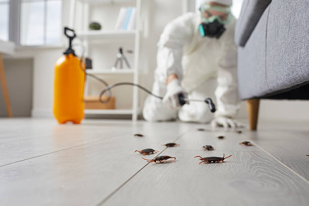 Trusted Fumigation Services service in Camino, CA - Nex Pest Control