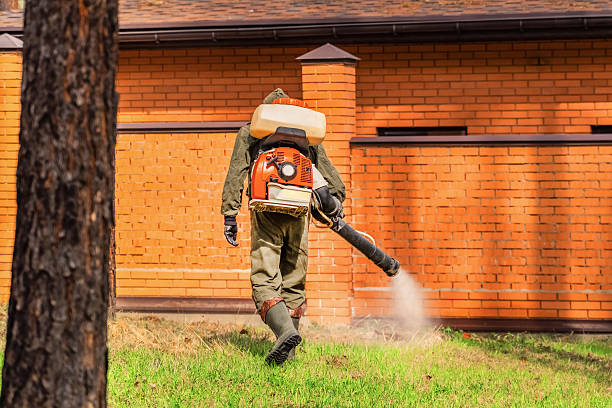 Trusted Rodent Control service in Camino, CA - Nex Pest Control